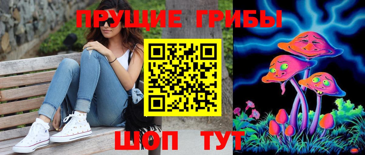 Псилоцибиновые грибы Cubensis  Вход с VPN  Кандалакша  Псилоцибиновые грибы Psilocybe 